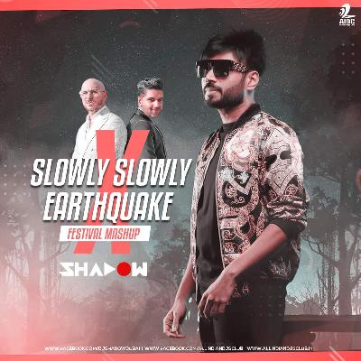 Slowly Slowly X Earthquake (Festival Mashup) - Guru Randhawa X Pitbull X DJ Shadow Dubai